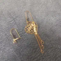 لنگ گوشواره حدود ۱۰روز پیش گمشده