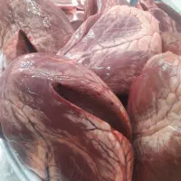 دل گوساله تازه ۳۵۹۰۰۰فقط امروز