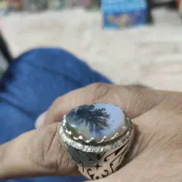 انگشتر نقره ،شجر ،یشم افغان