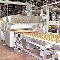 تولیدی کیک و کلوچه