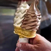 دستگاه بستنی ساز ۲ اسب شانی مو