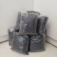 گل گاو زبون