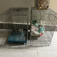 دو عدد قفس بزرگ کاسکو