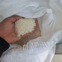 برنج هاشمی درجه ۱ امسال|خوردنی و آشامیدنی|اردبیل, |دیوار