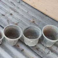 20هزار گلدان پلاستیکی