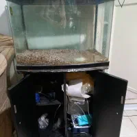 آکواریوم شیشه خم|ماهی|تهران, کاشانک|دیوار