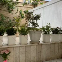 باشگاه یوگا بانوان / باشگاه لیلیان / حرکات اصلاحی|خدمات آموزشی|اصفهان, محله سفلی|دیوار