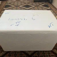 یخدان فومی ۵۰ لیتری سالم و تمیز