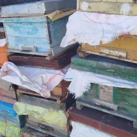 لوازم زنبورداری