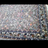 فرش6متری|فرش|نیشابور, مدرس|دیوار