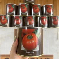 بذر گوجه استاندارد