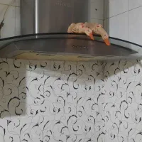 هود در حدنو