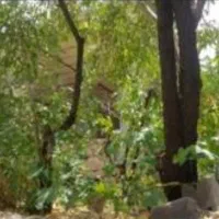 فروش 1800 متر زمین باغ حسین آباد طزرجان با آب قنات