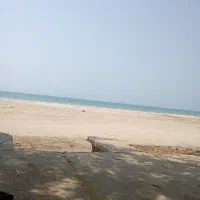 دو هکتار زمین کشاورزی شیراز شهرستان کوار