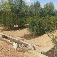 باغچه ۱۰۰۰ متری