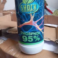 سم وکودزعفران|گل و گیاه طبیعی|دوزین, |دیوار