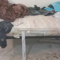 تخت