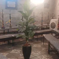 به یک شاگردماهر کافه قلیان متعهد به کار نیازمندیم