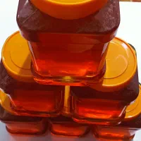 عسل بهاره / ساکارز حدود ۲.۵|خوردنی و آشامیدنی|کرج, اصفهانی‌ها|دیوار