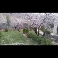 باغ دریمه|فروش خانه و ویلا|شیراز, دارالرحمه|دیوار