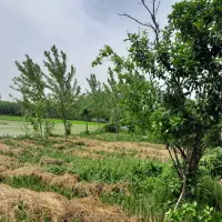 ویلاباغ زیباویوابدی۱۲۰۰متر سندتکبرگ مسکونی|فروش خانه و ویلا|رشت, بوسار|دیوار