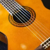 گیتار|گیتار، بیس، امپلیفایر|بوشهر, |دیوار