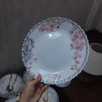 سرویس آرکوپال طرحدار در مدلهای مختلف آک 6تا 30نفره