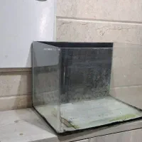 آکواریوم شیشه خم ماهیران