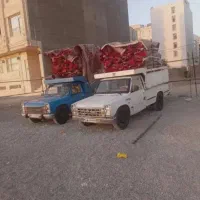 راننده قالیشوی (قانون کار و بیمه با انعام )