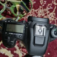 canon 7D mark ll|دوربین عکاسی و فیلم‌برداری|دزفول, |دیوار