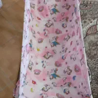 گهواره نوزاد زیبا کاملا سالم