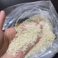 برنج هاشمی درجه یک