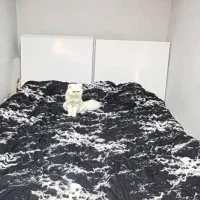 تخت خواب دونفره بدون دوشک