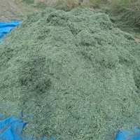 یونجه درجه یک