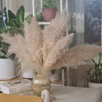 لوازم منزل|حراج|شیراز, احمدآباد|دیوار