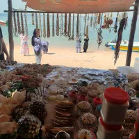 تور شاد قشم