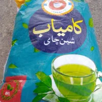 چای سبز