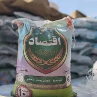 برنج پاکستانی بندر و اقتصاد386(کف قیمت)