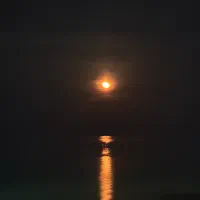 حسابدار خانم