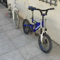 دو عدد دو چرخه