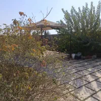 باغ با درخت قدیمی سند دار جیتو تبرئه کشاورزی|فروش خانه و ویلا|پاکدشت, پاکدشت (مامازند)|دیوار