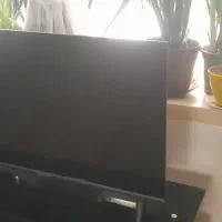 تلوزیون  oleve