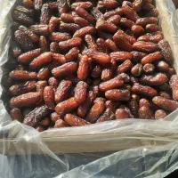 فروش انواع خرما