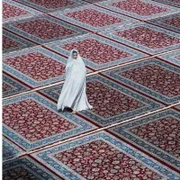 قالیشویی ((شیردل))