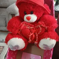 عروسک سخنگو|اسباب‌‌بازی|زنجان, |دیوار