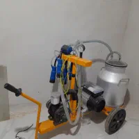 شیر دوش برقی گاو