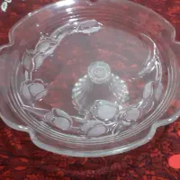 میوه خوری بزرگ سالم