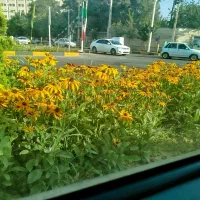 همایش امام رضا