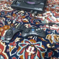 یک عدد سگاه سالم