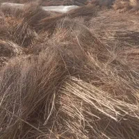 مواد اولیه جارو دستی